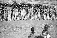 Burkina Faso