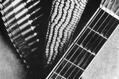 016_Tina Modotti, Pannocchia, chitarra e cartucciera (per una canzone messicana), 1927