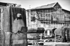 DSC_4169