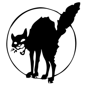 Dialogo veridico tra un fotografo di strada e il suo gatto nero Zorba