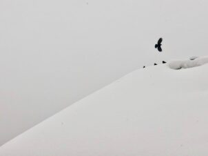 Mia Lecomte . Sulla fotografia in forma di poesia